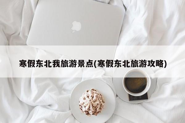 寒假东北我旅游景点(寒假东北旅游攻略)