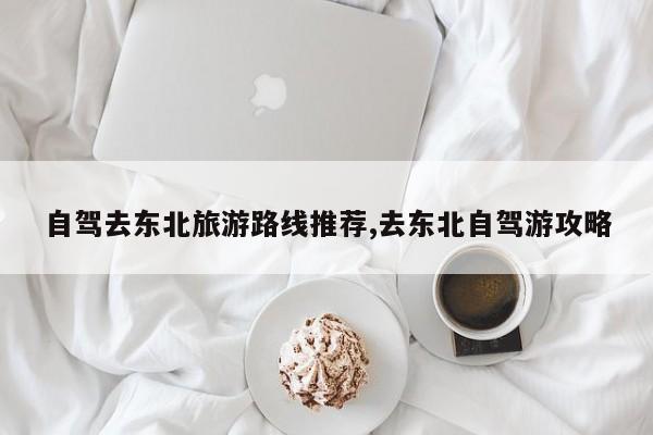 自驾去东北旅游路线推荐,去东北自驾游攻略