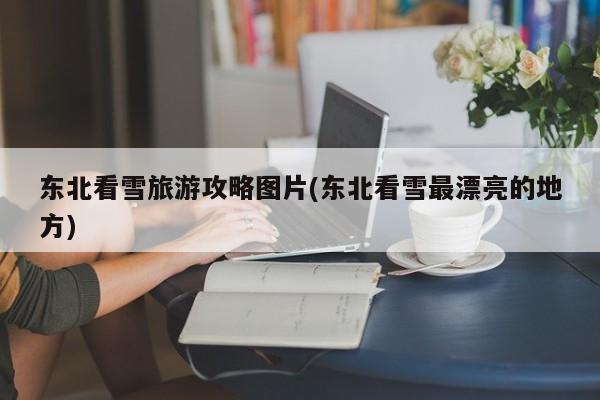 东北看雪旅游攻略图片(东北看雪最漂亮的地方) 第1张