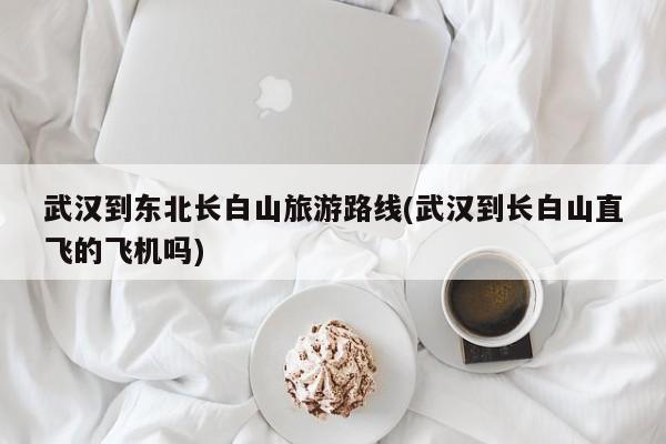 武汉到东北长白山旅游路线(武汉到长白山直飞的飞机吗)