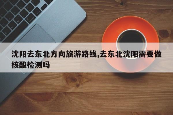 沈阳去东北方向旅游路线,去东北沈阳需要做核酸检测吗 第1张