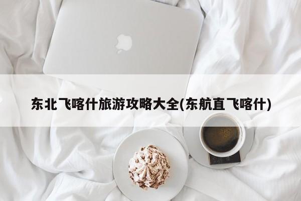 东北飞喀什旅游攻略大全(东航直飞喀什) 第1张