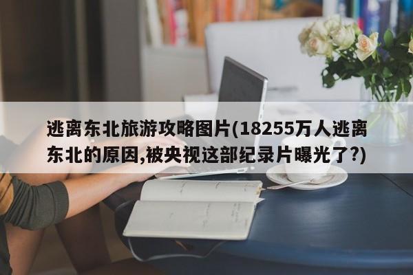 逃离东北旅游攻略图片(18255万人逃离东北的原因,被央视这部纪录片曝光了?) 第1张