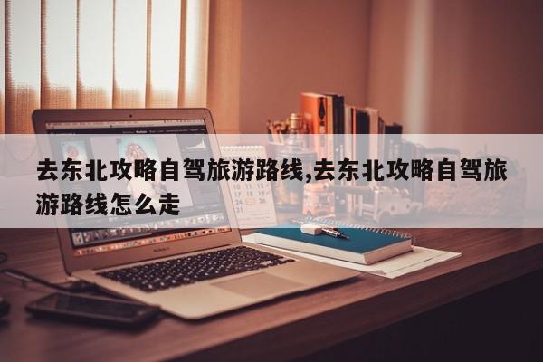 去东北攻略自驾旅游路线,去东北攻略自驾旅游路线怎么走