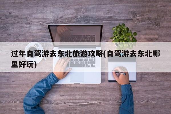过年自驾游去东北旅游攻略(自驾游去东北哪里好玩)