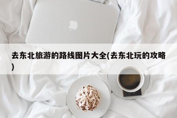 去东北旅游的路线图片大全(去东北玩的攻略) 第1张