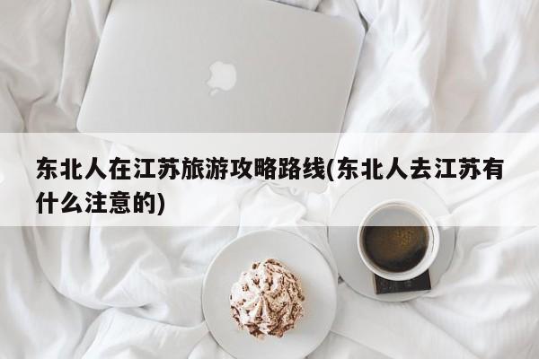 东北人在江苏旅游攻略路线(东北人去江苏有什么注意的)