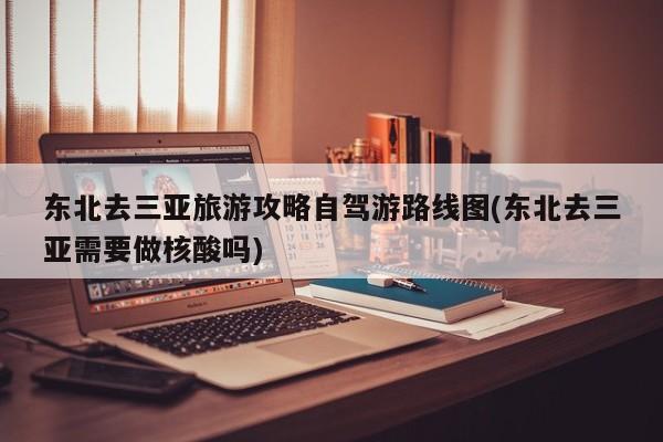 东北去三亚旅游攻略自驾游路线图(东北去三亚需要做核酸吗)