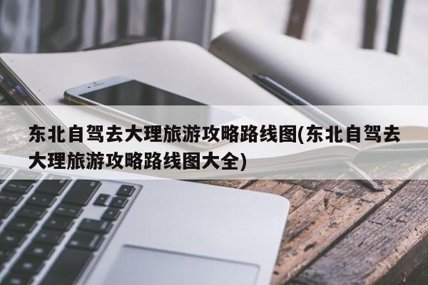 东北自驾去大理旅游攻略路线图(东北自驾去大理旅游攻略路线图大全)
