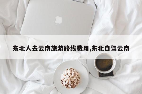 东北人去云南旅游路线费用,东北自驾云南