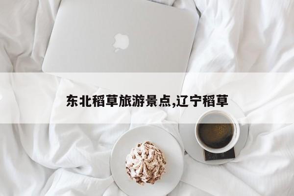 东北稻草旅游景点,辽宁稻草