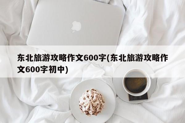 东北旅游攻略作文600字(东北旅游攻略作文600字初中)