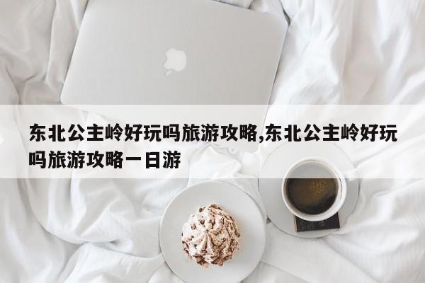 东北公主岭好玩吗旅游攻略,东北公主岭好玩吗旅游攻略一日游