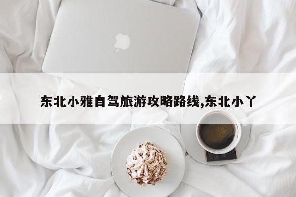 东北小雅自驾旅游攻略路线,东北小丫