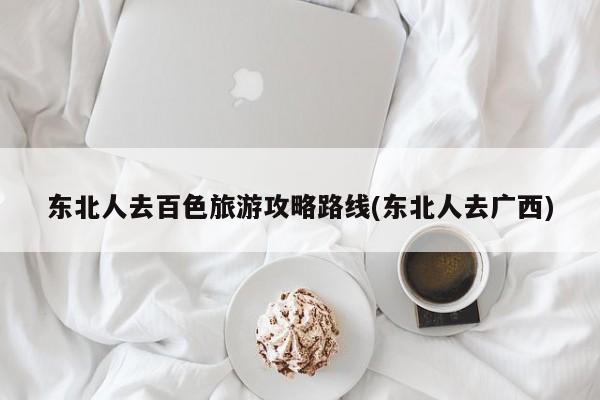 东北人去百色旅游攻略路线(东北人去广西)