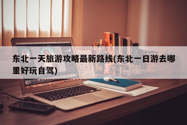 东北一天旅游攻略最新路线(东北一日游去哪里好玩自驾)