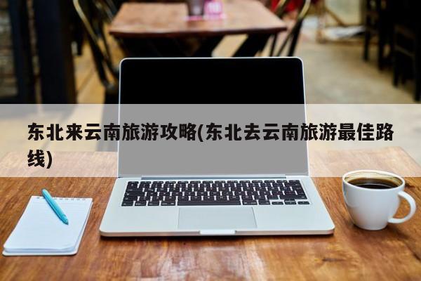 东北来云南旅游攻略(东北去云南旅游最佳路线)