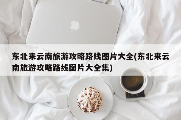 东北来云南旅游攻略路线图片大全(东北来云南旅游攻略路线图片大全集)