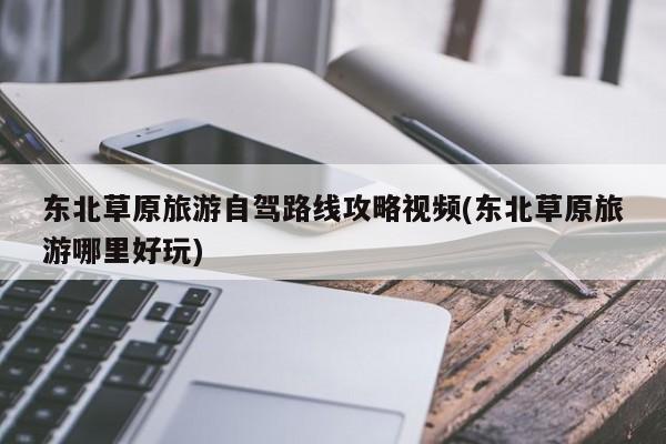 东北草原旅游自驾路线攻略视频(东北草原旅游哪里好玩)