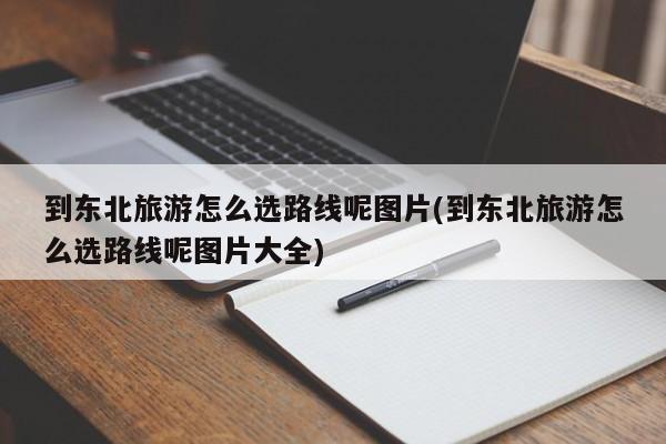 到东北旅游怎么选路线呢图片(到东北旅游怎么选路线呢图片大全)