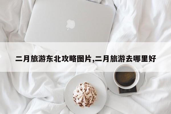 二月旅游东北攻略图片,二月旅游去哪里好