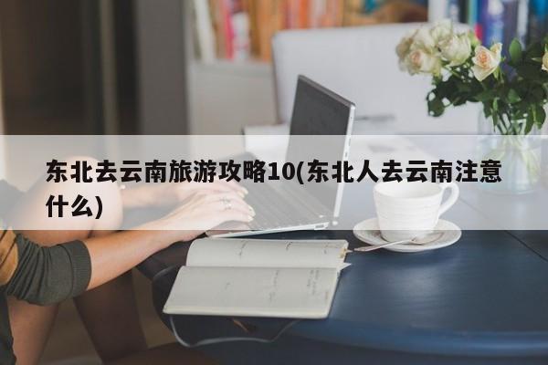 东北去云南旅游攻略10(东北人去云南注意什么)