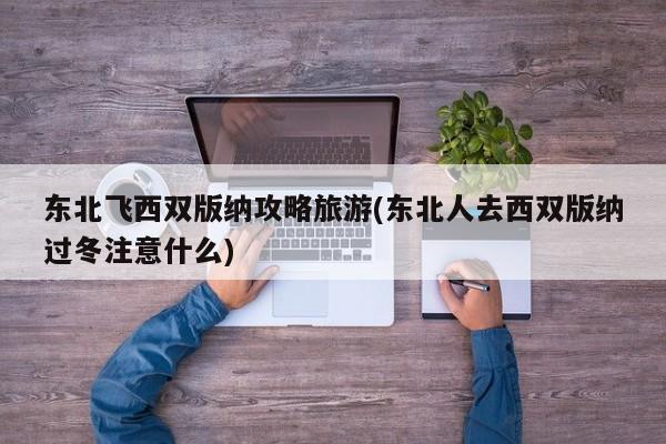 东北飞西双版纳攻略旅游(东北人去西双版纳过冬注意什么)