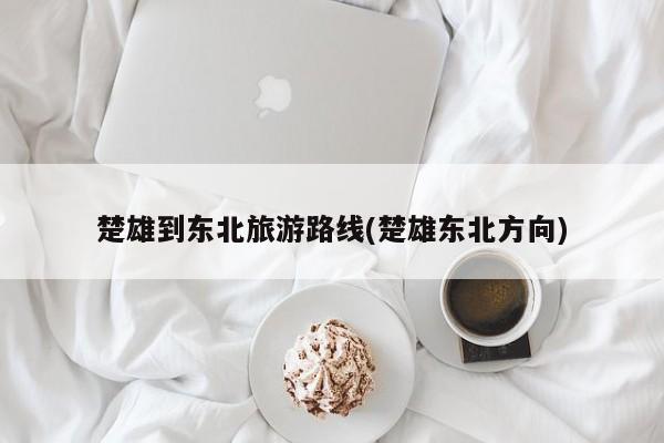 楚雄到东北旅游路线(楚雄东北方向)
