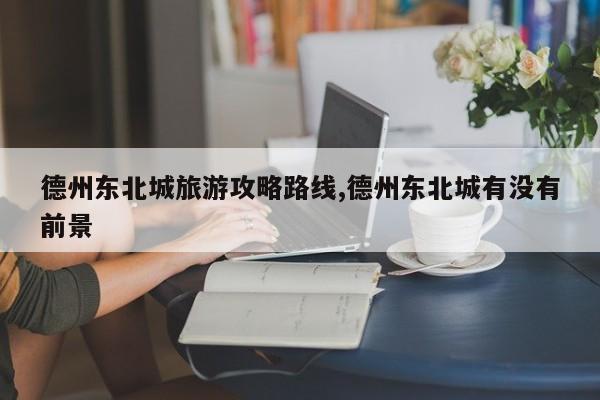 德州东北城旅游攻略路线,德州东北城有没有前景