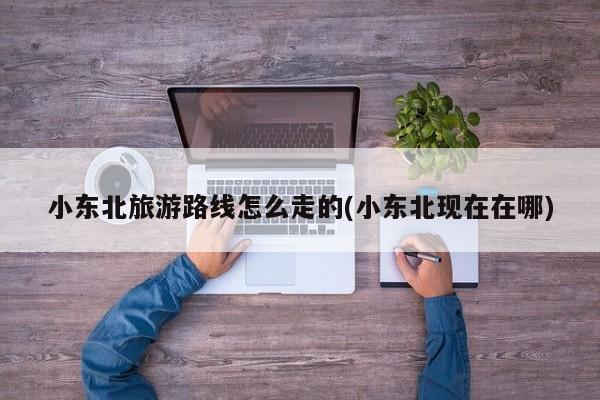 小东北旅游路线怎么走的(小东北现在在哪)