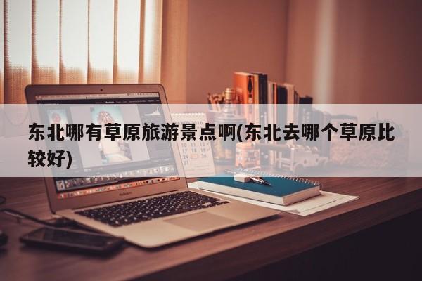 东北哪有草原旅游景点啊(东北去哪个草原比较好)