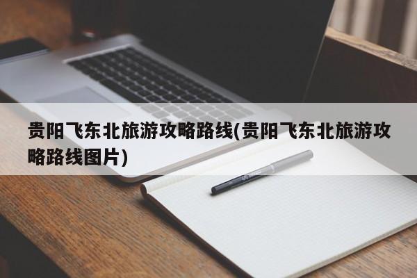 贵阳飞东北旅游攻略路线(贵阳飞东北旅游攻略路线图片)