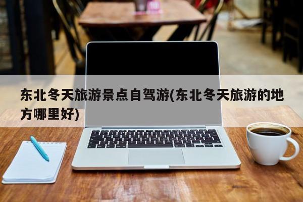 东北冬天旅游景点自驾游(东北冬天旅游的地方哪里好)