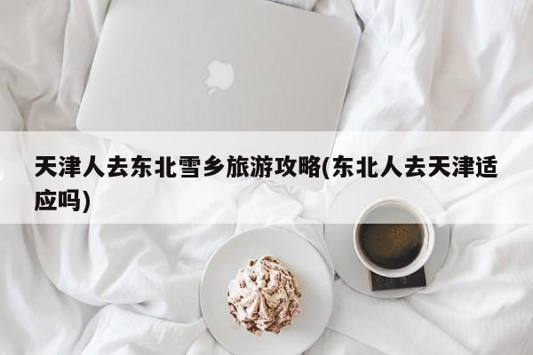 天津人去东北雪乡旅游攻略(东北人去天津适应吗) 第1张