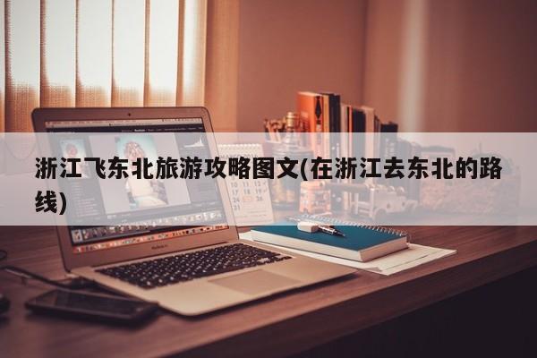 浙江飞东北旅游攻略图文(在浙江去东北的路线)