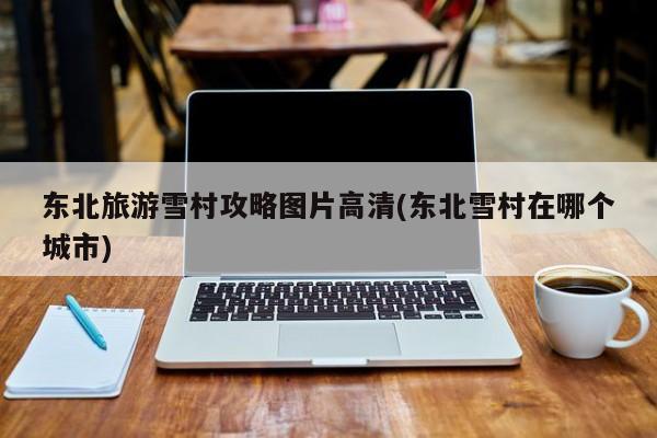 东北旅游雪村攻略图片高清(东北雪村在哪个城市)